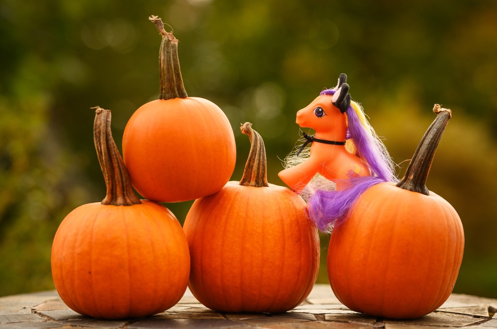 My Little Pony Spotlight: Pumpkin&nbsp;Tart